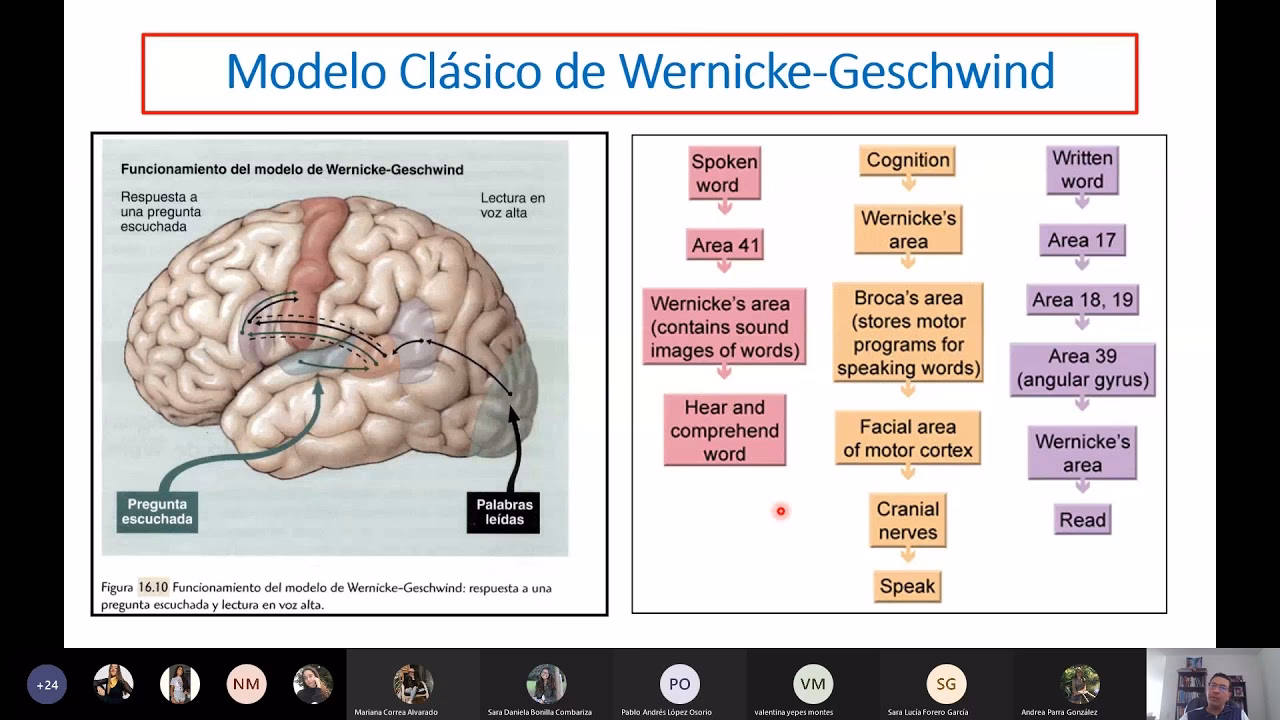 ¿Qué es el modelo Wernicke Lichtheim Geschwind?