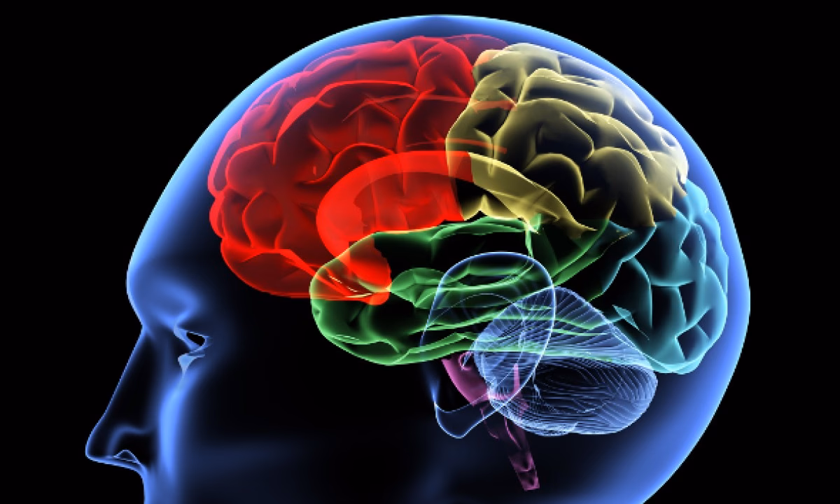 ¿Qué es un método de inhibición?