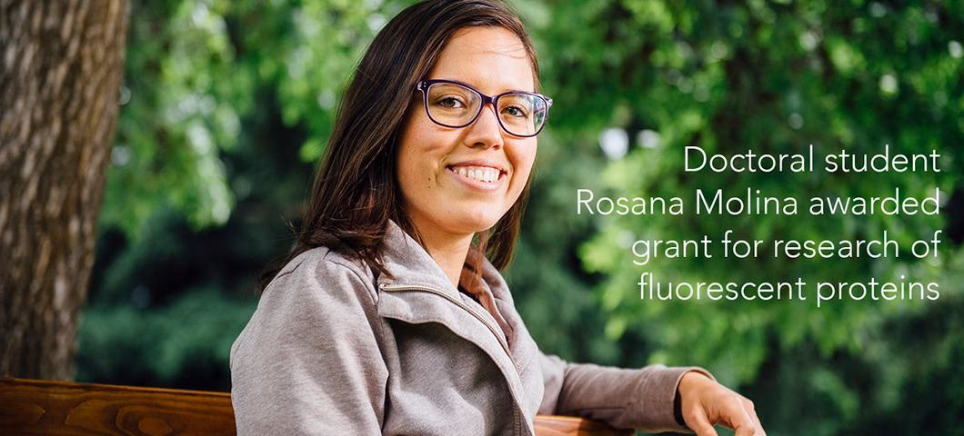 Does Montana State University have a neuroscience program?