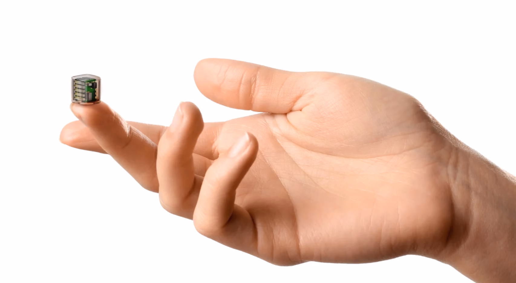 What are motifs in neuroscience?