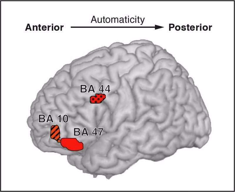 What is MPI for neurobiology of behavior?