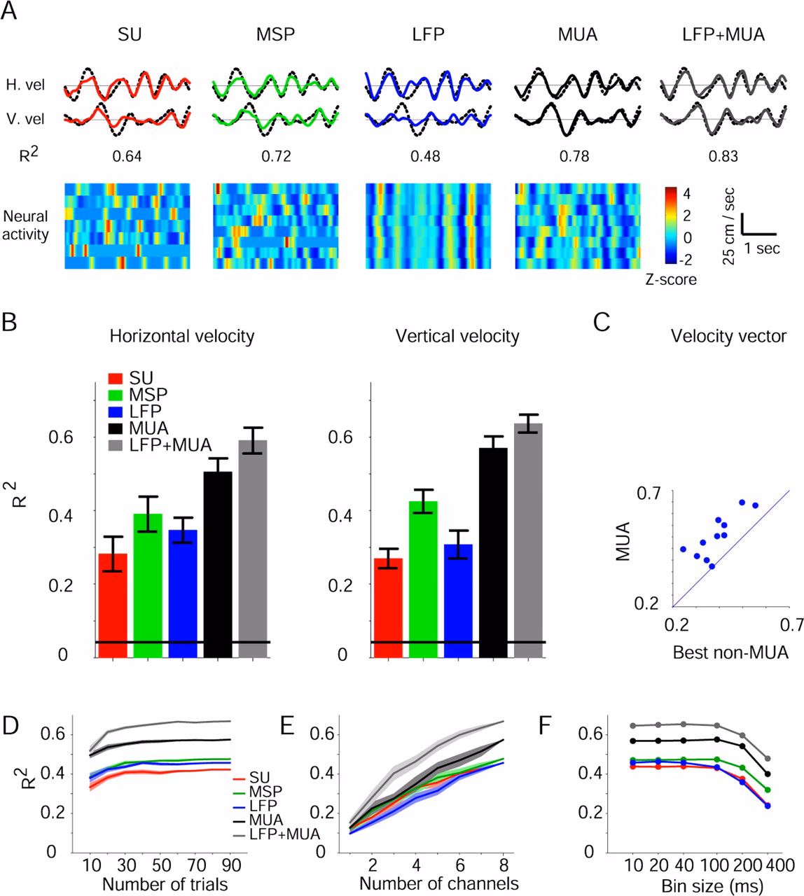 What is the difference between LFP and MUA?