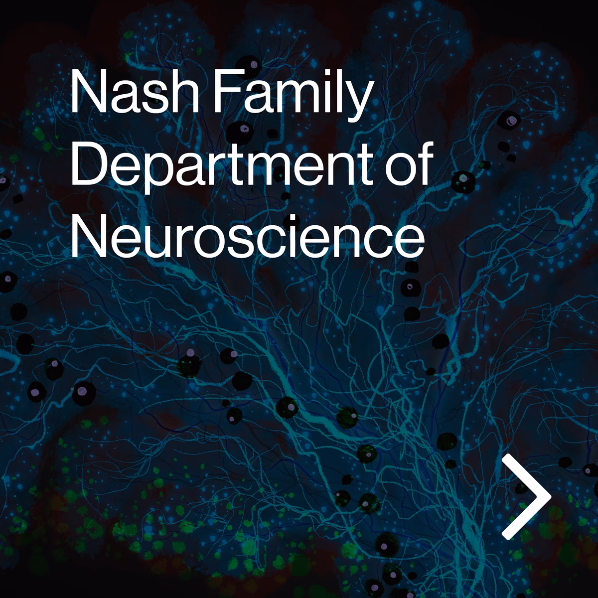 Who is the chair of neurology at Mount Sinai?