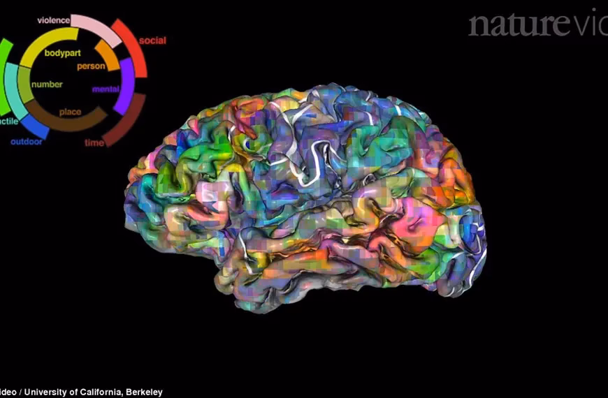 Does Disney own National Geographic Society?