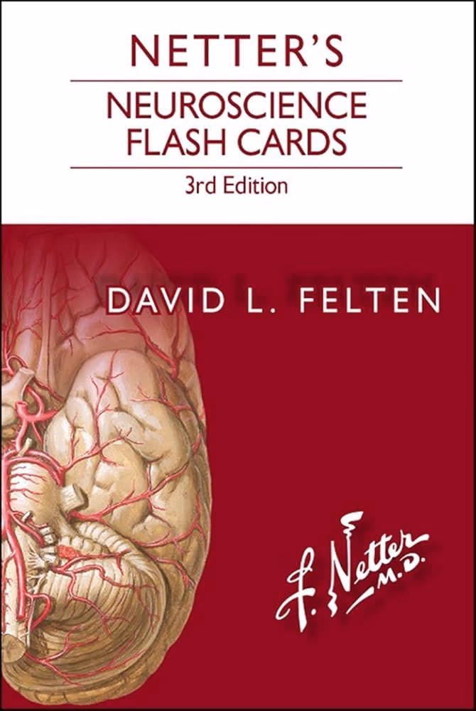 What is the plot of Netter's anatomy flash cards?
