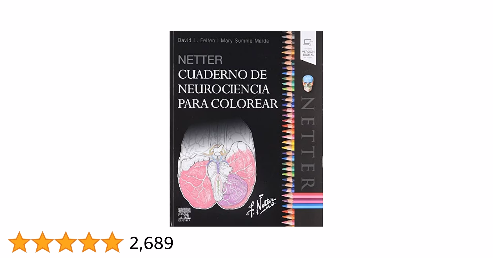 ¿Qué es la neurociencia para niños?