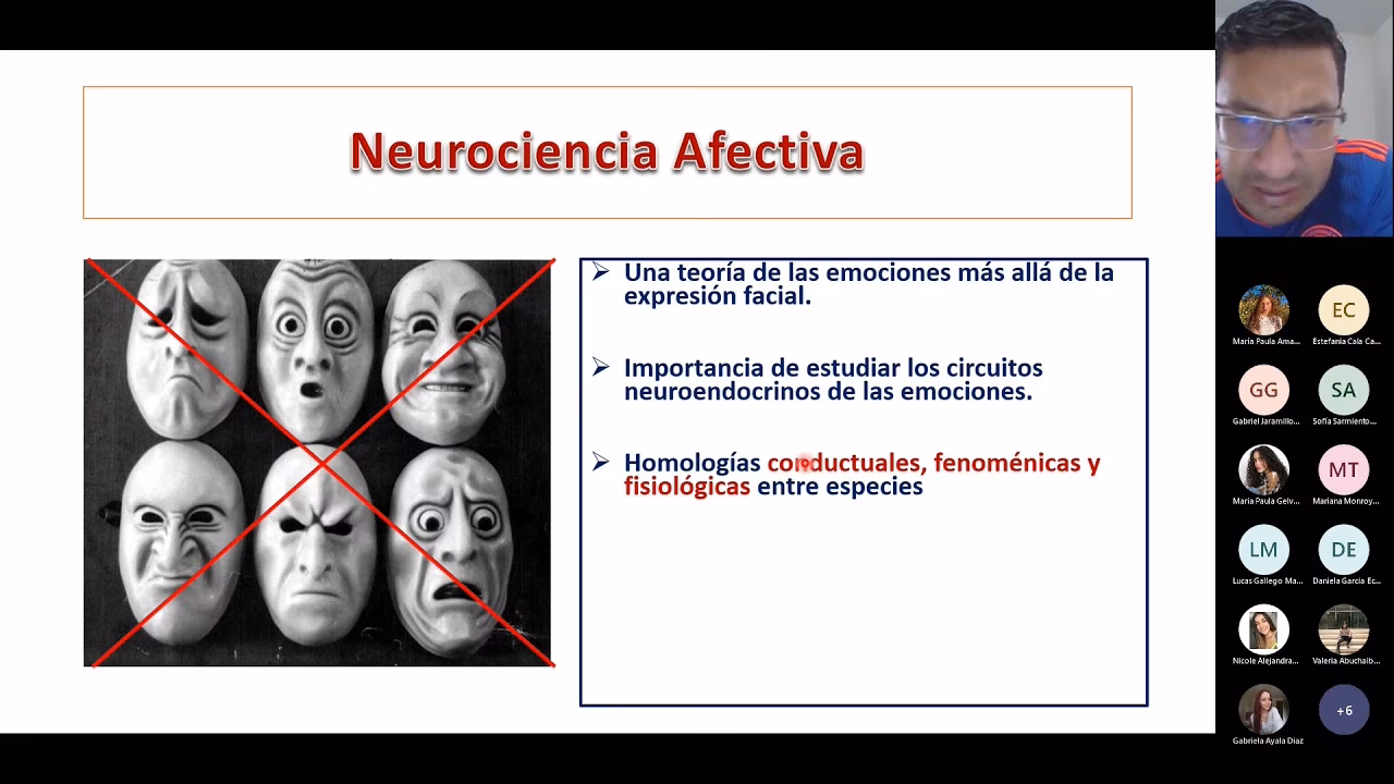 ¿Qué es la especialidad en neurociencia afectiva?