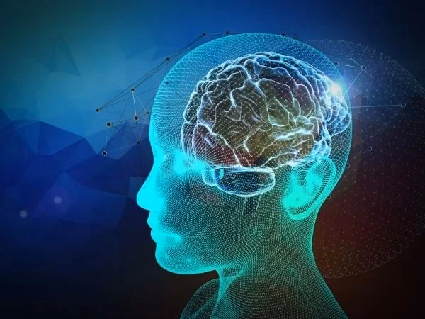 ¿Qué estudia la neurociencia afectiva?