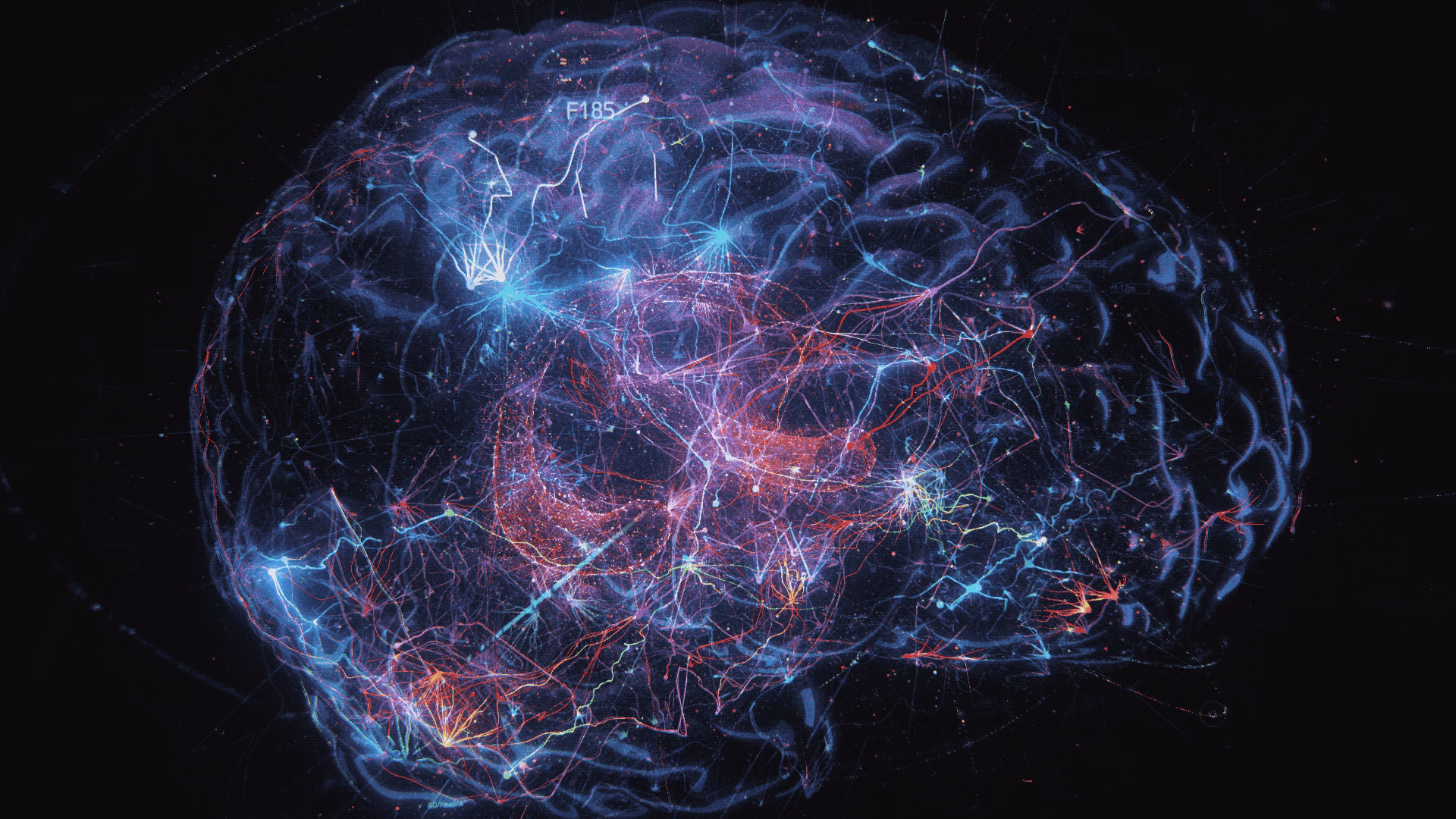 What are the 3 types of GIF?