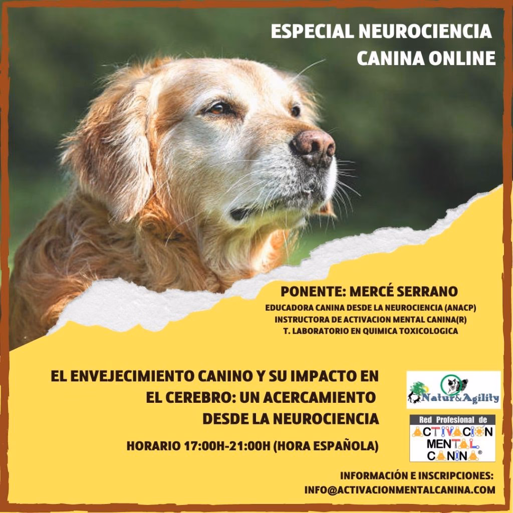 ¿Cómo funciona la psicología canina?