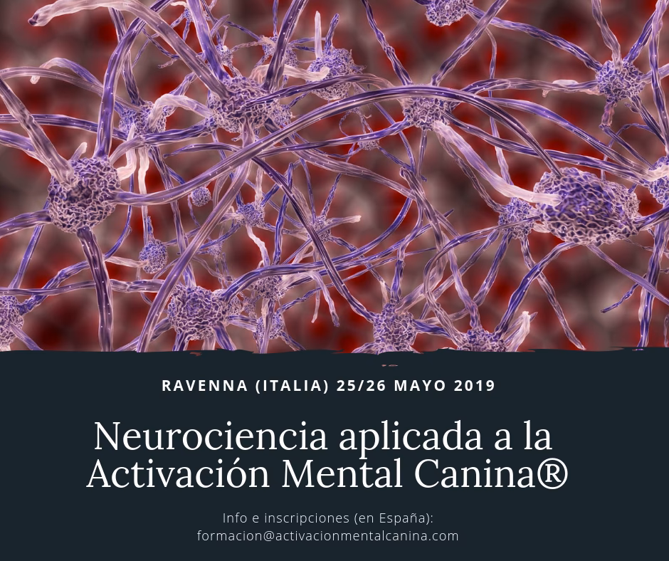 ¿Qué es la neurosis canina?