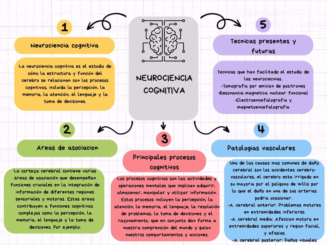 ¿Cuál es un ejemplo de neurociencia cognitiva?