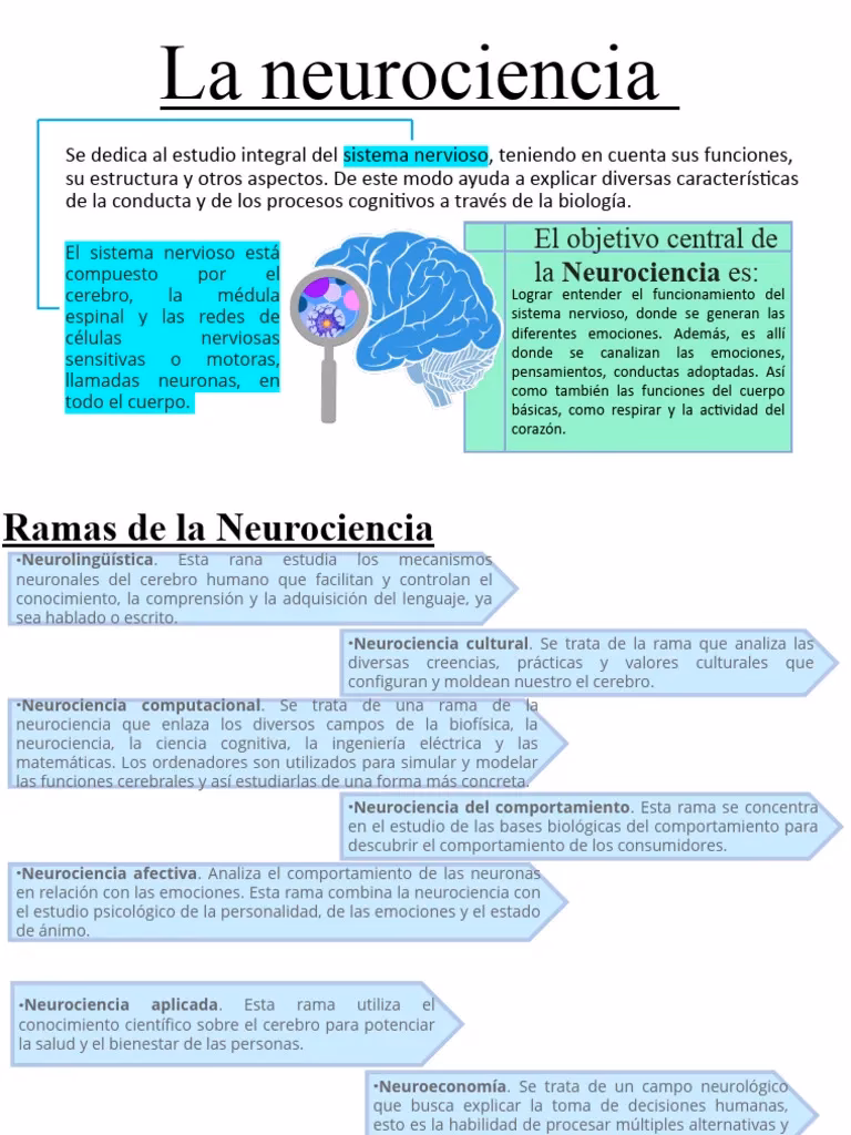 How is neural activity influenced by social or cultural factors?