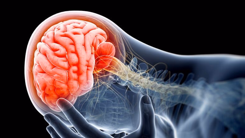 O que é neurociência da dor?