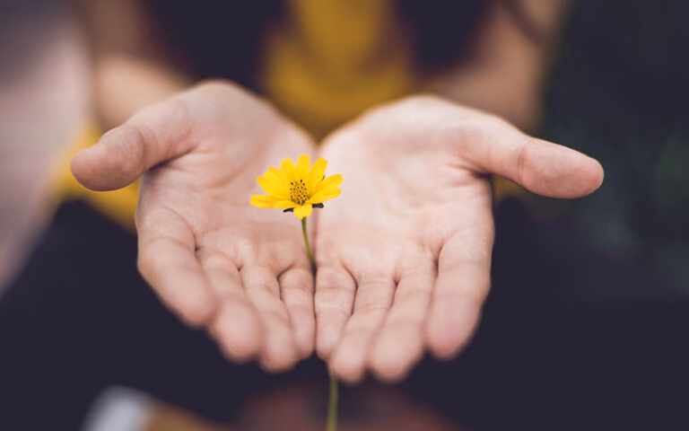 ¿Qué hormona se libera durante la gratitud?