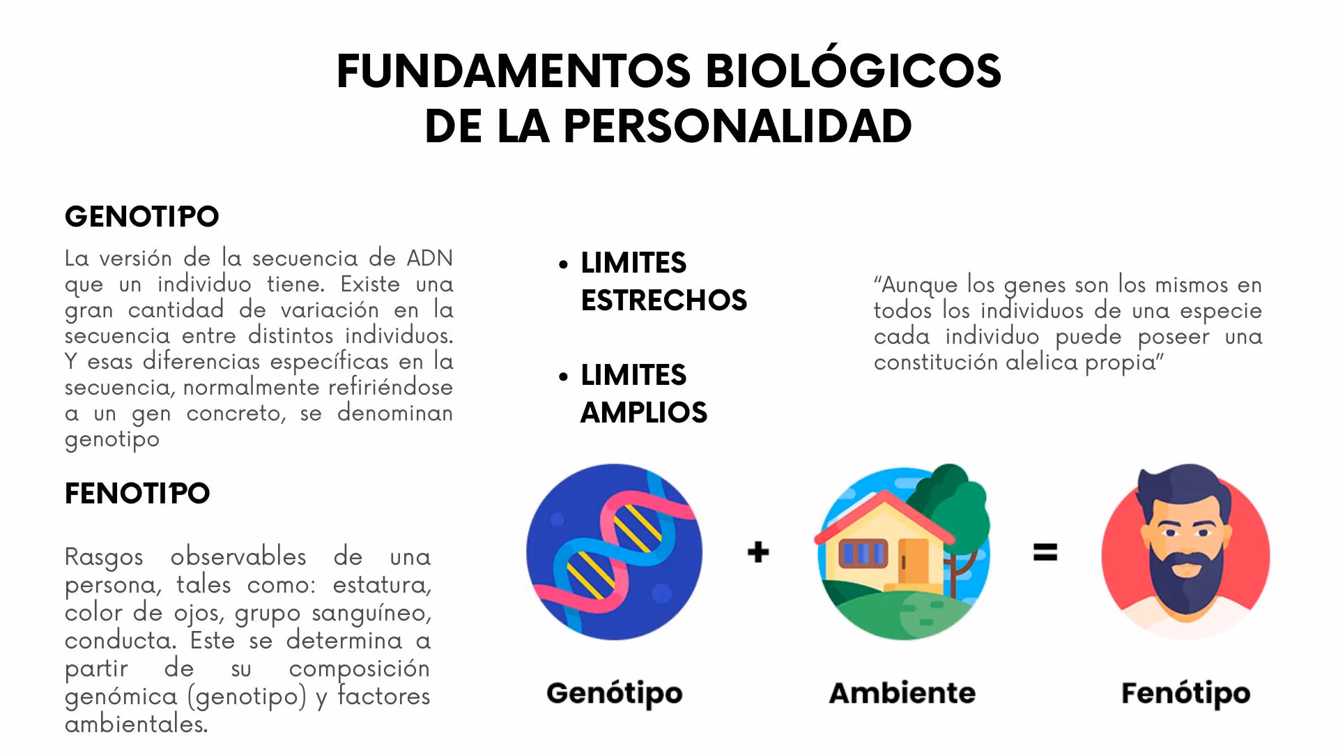 ¿Cuáles son los 5 rasgos de la personalidad?