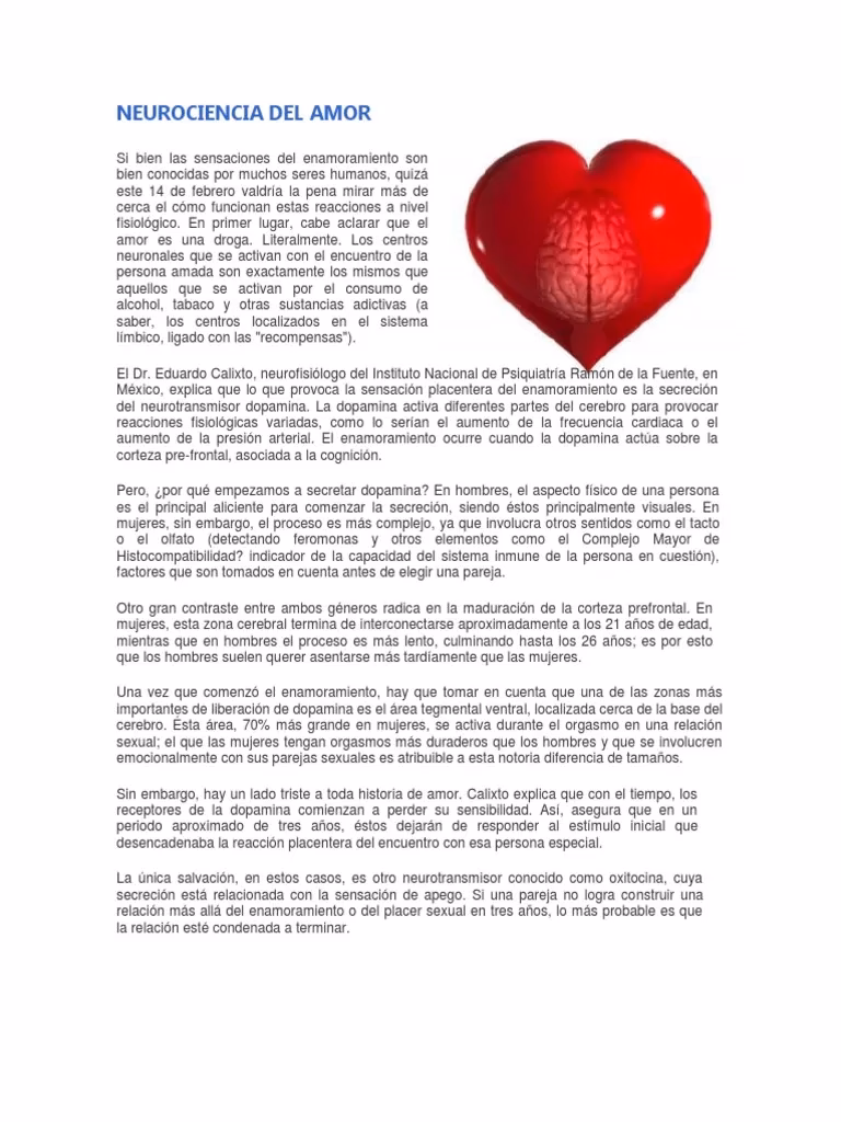 ¿Qué dice la neurociencia sobre el amor?