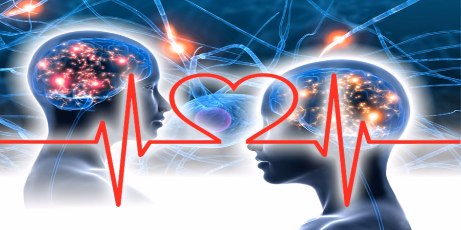 ¿Qué le pasa al cerebro cuando alguien se enamora?