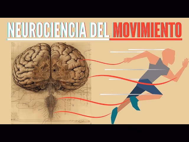 ¿Qué es el control neurológico del movimiento?