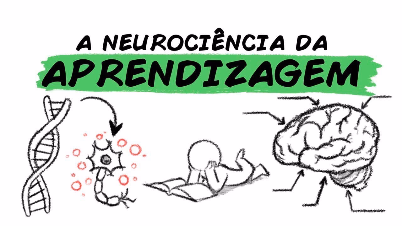 Como a neurociência destaca o processo de aprendizagem?