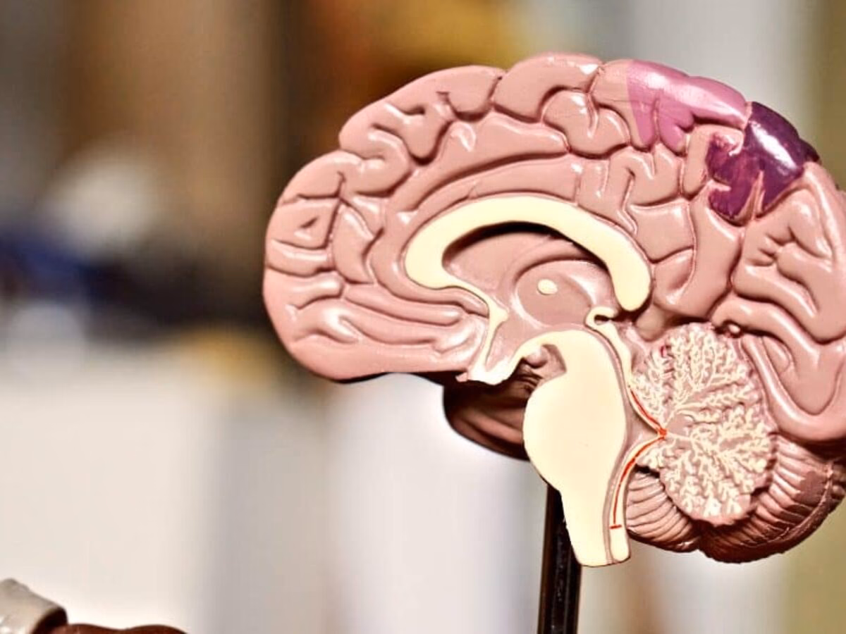 ¿Cuáles son los beneficios de escribir a mano para el cerebro?