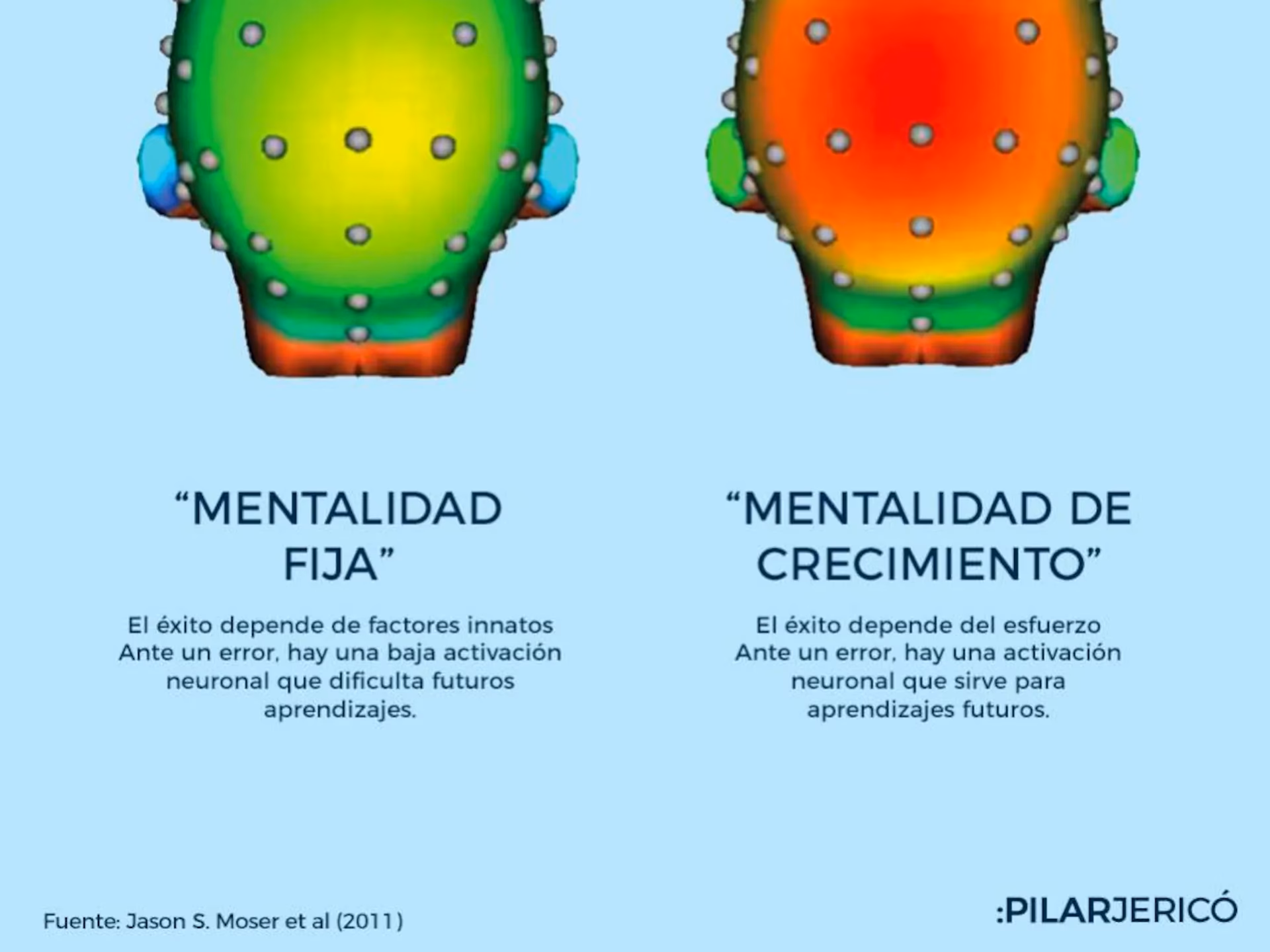 ¿Qué parte del cerebro controla los errores?