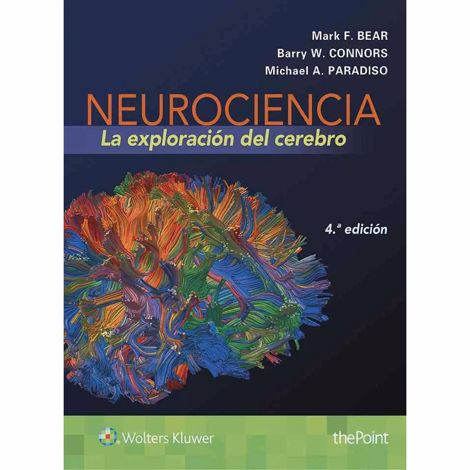 ¿Qué métodos se utilizan para explorar el cerebro?