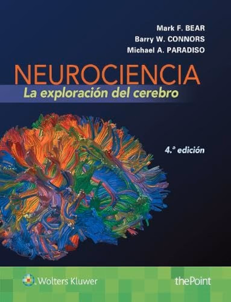 ¿Qué es una exploración cerebral?