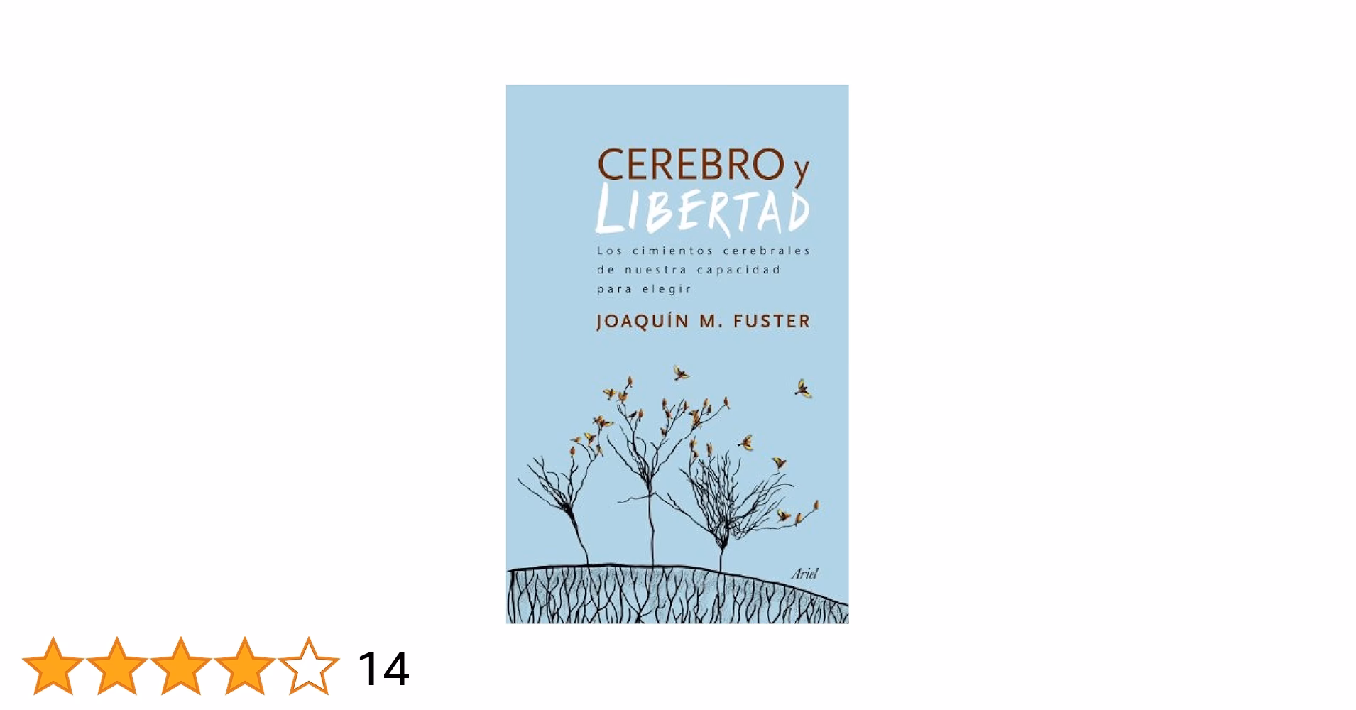 ¿Qué dice la neurociencia de la conciencia?