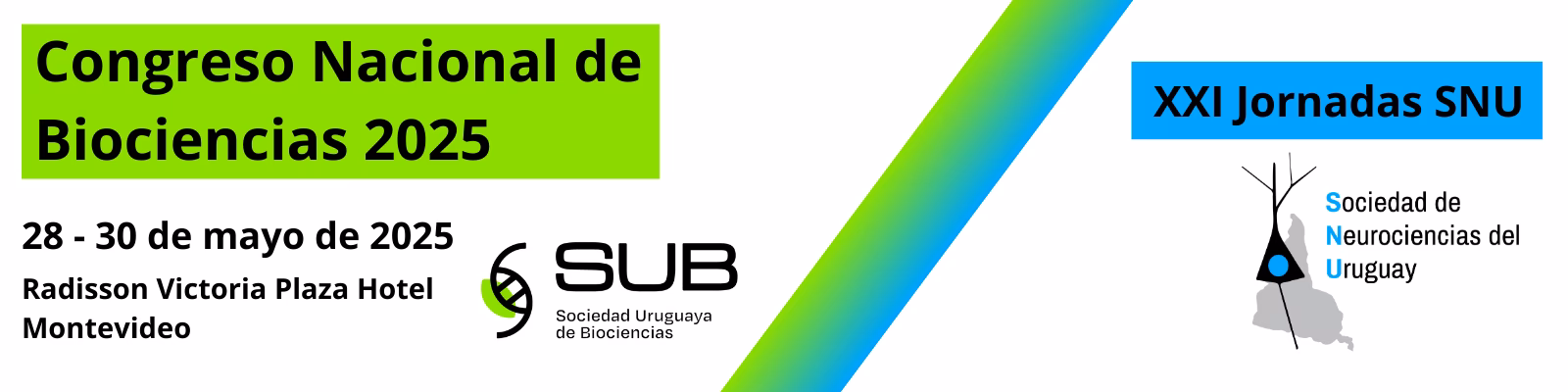 ¿Dónde estudiar neuropsicologia en Uruguay?