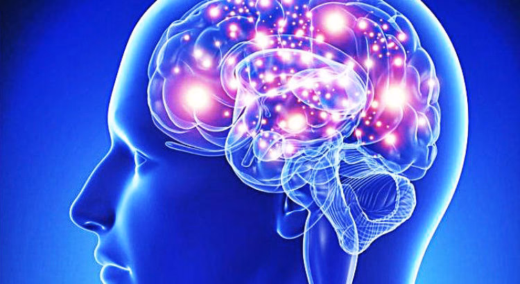 ¿Cuáles son las 10 claves de la neurociencia para mejorar el aprendizaje?