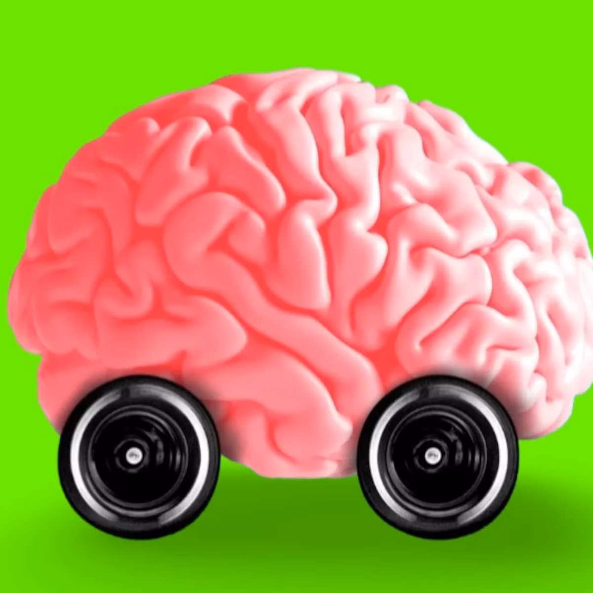 ¿Qué función cumple el cerebro de un auto?