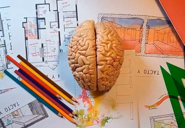 ¿Cómo influye la neurociencia en la arquitectura?