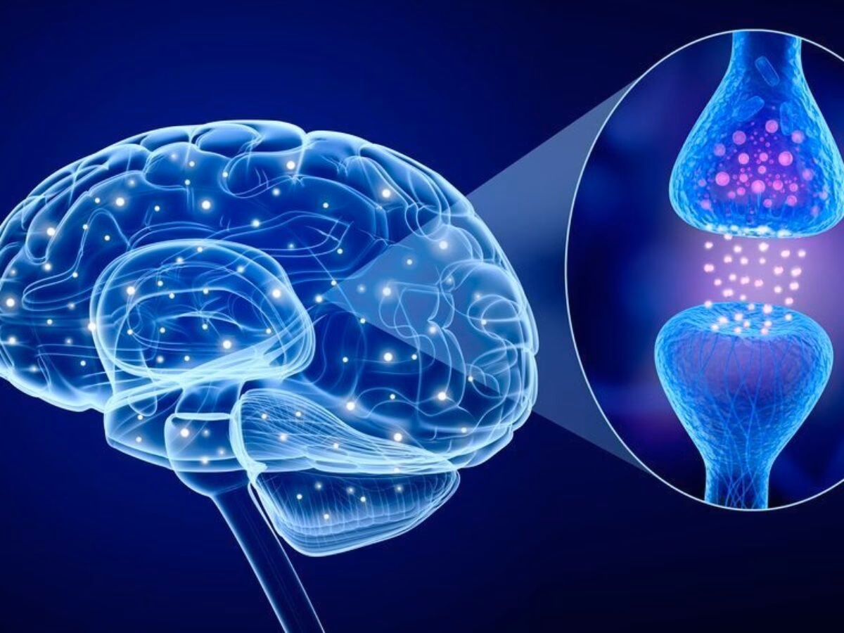 ¿Qué es la neurociencia en fisioterapia?