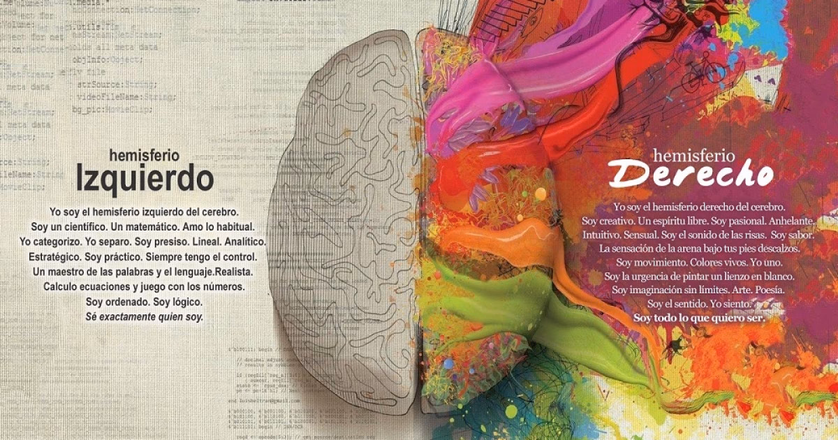 ¿Cómo puedo saber qué hemisferio de mi cerebro es el predominante?