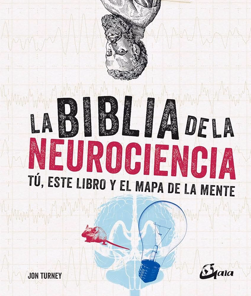 ¿Qué dice la Biblia sobre el cerebro?