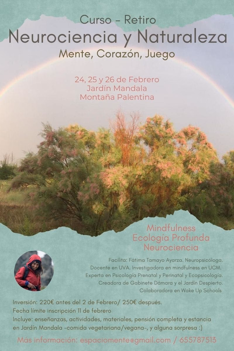 ¿Cómo se relaciona la naturaleza con la neurociencia?