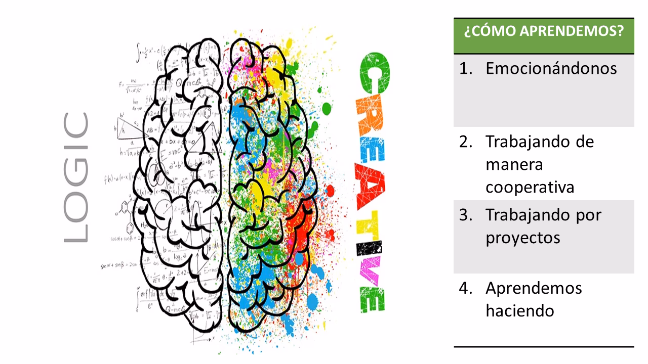 ¿Cuál es la diferencia entre neurociencia y neuroeducación?