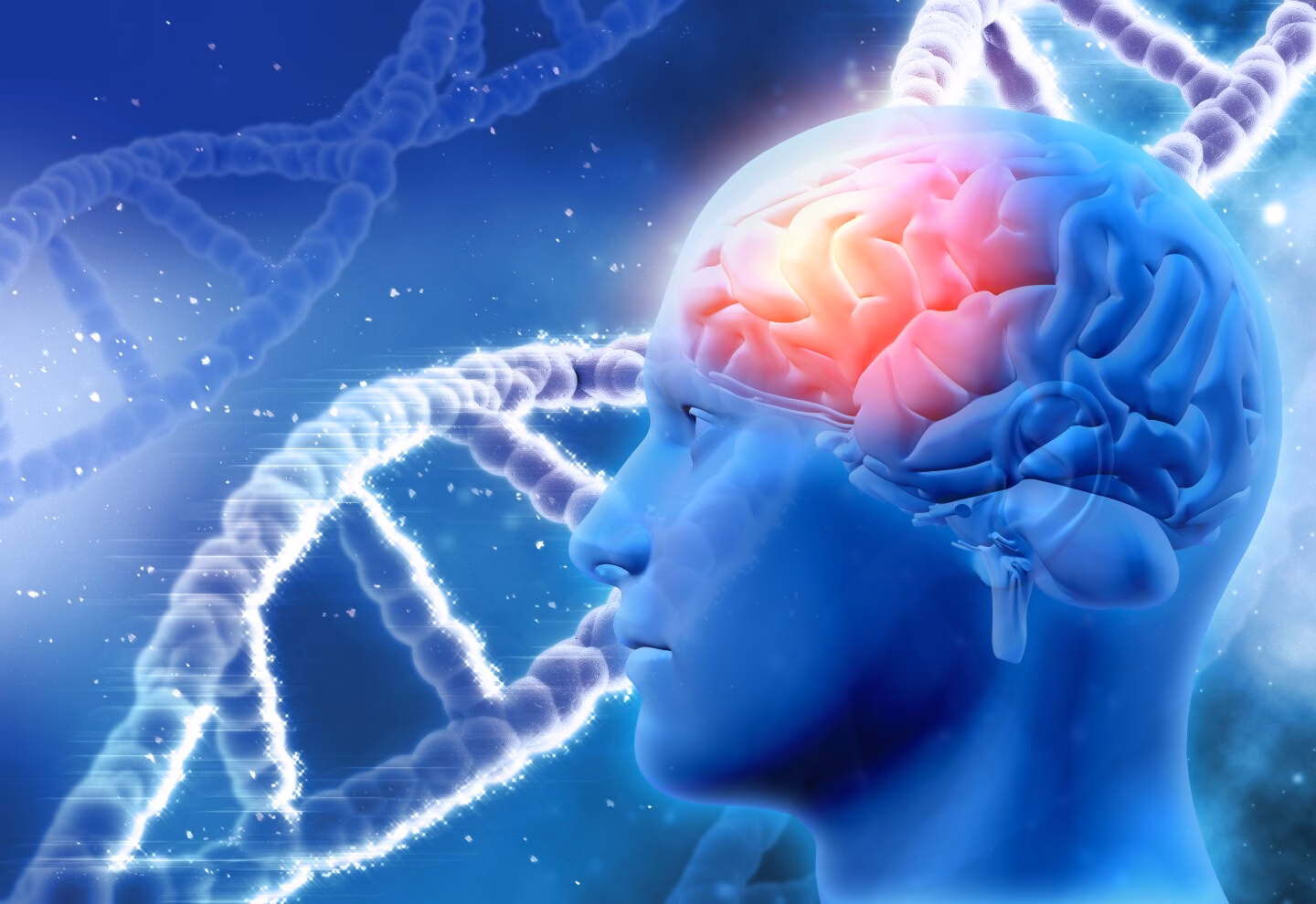 ¿Es la realidad una alucinación?