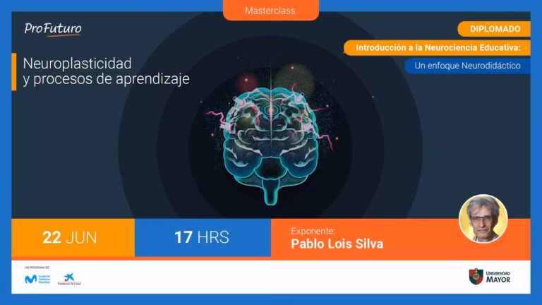 ¿Qué es la neurociencia de la plasticidad?