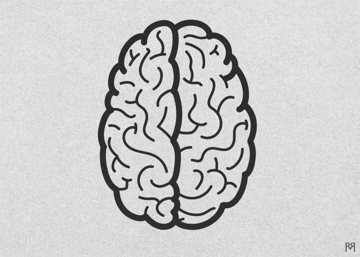 ¿Qué es la neurociencia de la sustancia blanca?