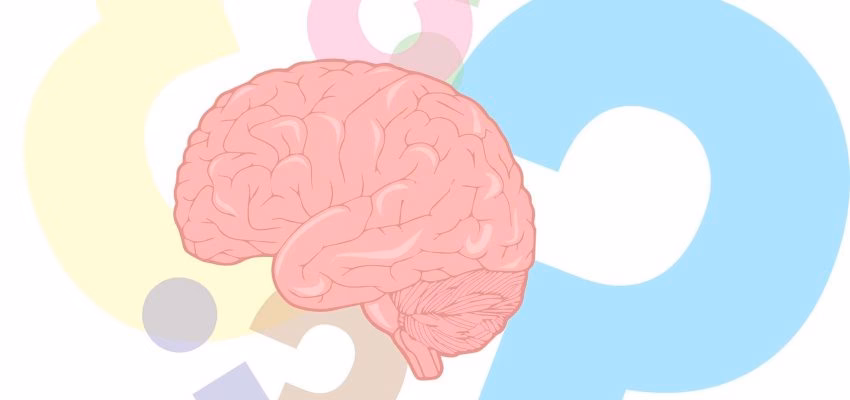 ¿Qué neurotransmisor se encarga del bienestar?