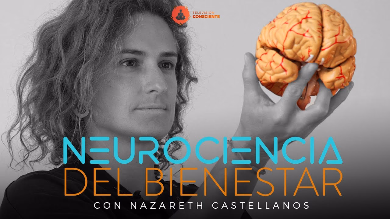 ¿Qué neurotransmisor se encarga del bienestar?