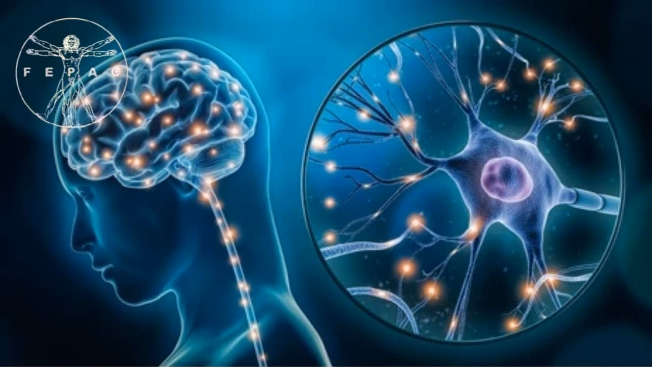 ¿Se puede hacer ciencia forense con un título en neurociencia?