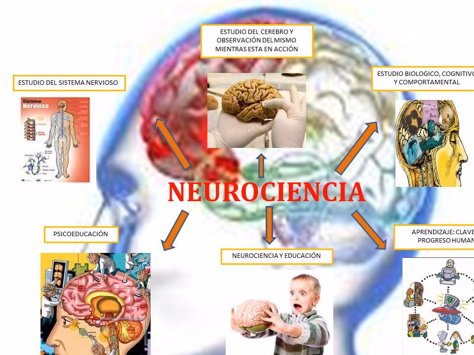 ¿Qué dice la teoría del aprendizaje?