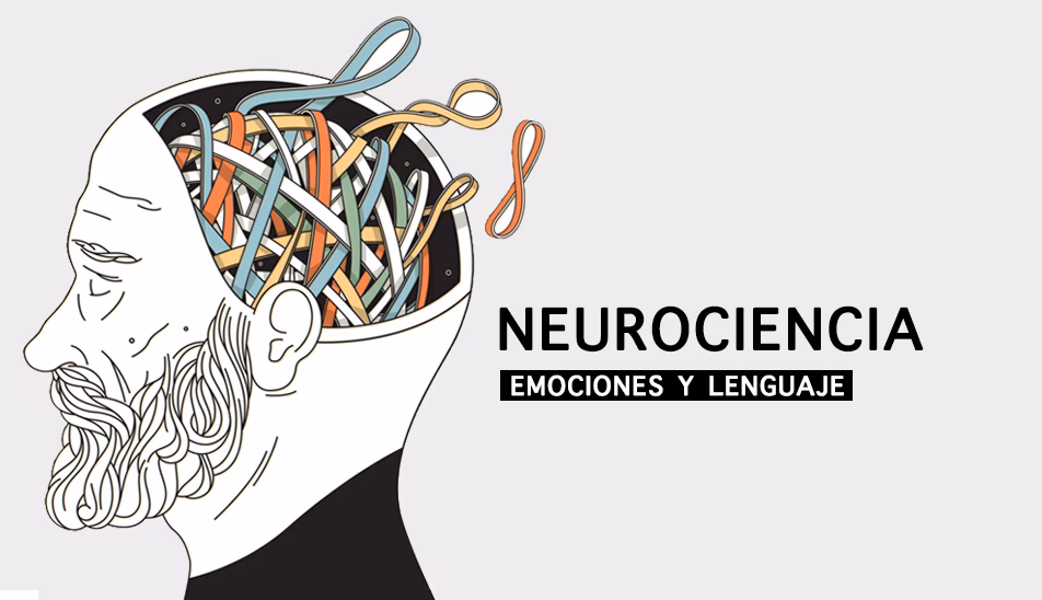 ¿Qué palabras impactan al cerebro?
