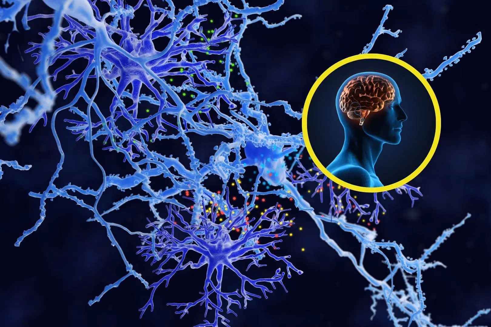 ¿Qué son los tejidos neuronales?