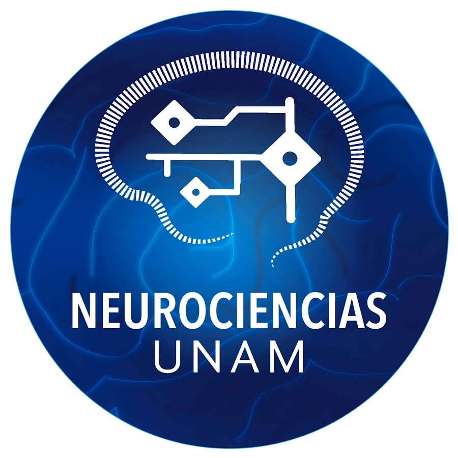 ¿Qué hace un licenciado en Neurociencias?