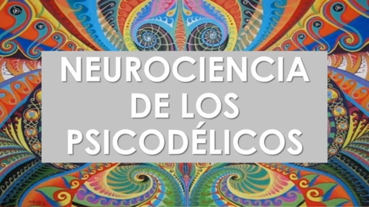 ¿Qué neurotransmisores afectan los hongos?