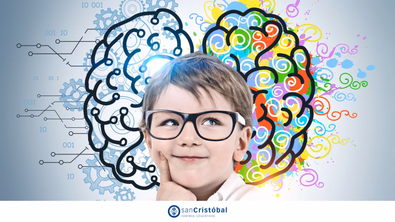 ¿Cuáles son las aportaciones de la neurodidáctica al proceso de aprendizaje y enseñanza?